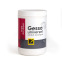 Gesso universel - Dalbe